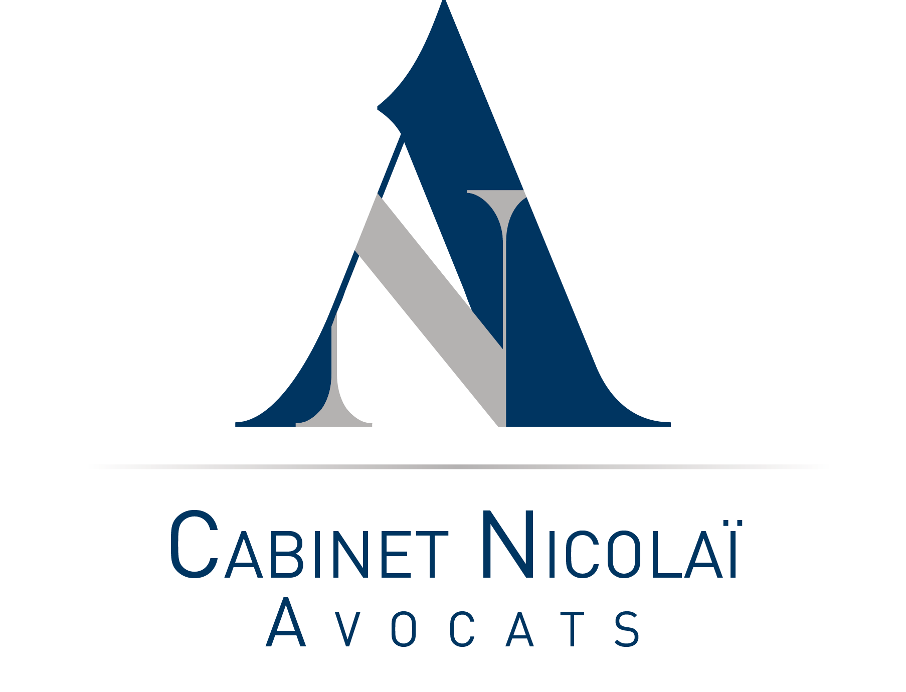 CABINET NICOLAÏ Logo